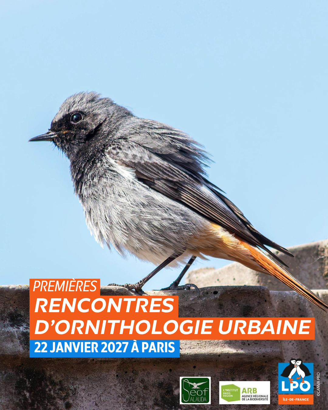 Premières Rencontres d'Ornithologie Urbaine